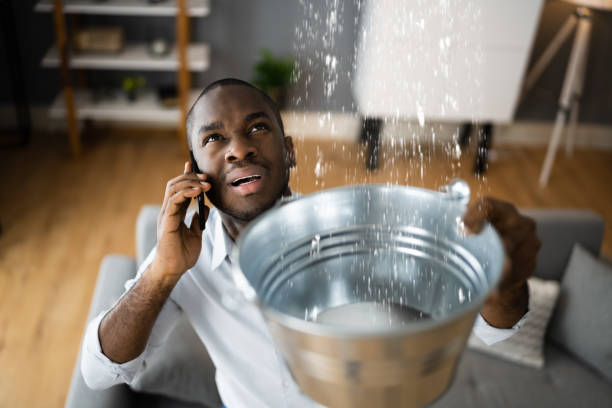 Best Flooded house restoration  in Belding, MI