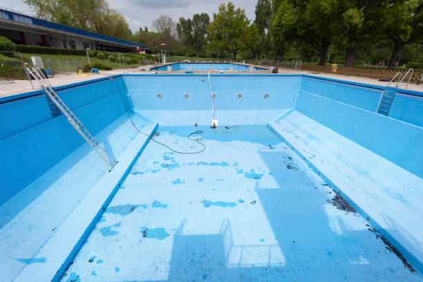 Best Flood damage cleanup  in Belding, MI