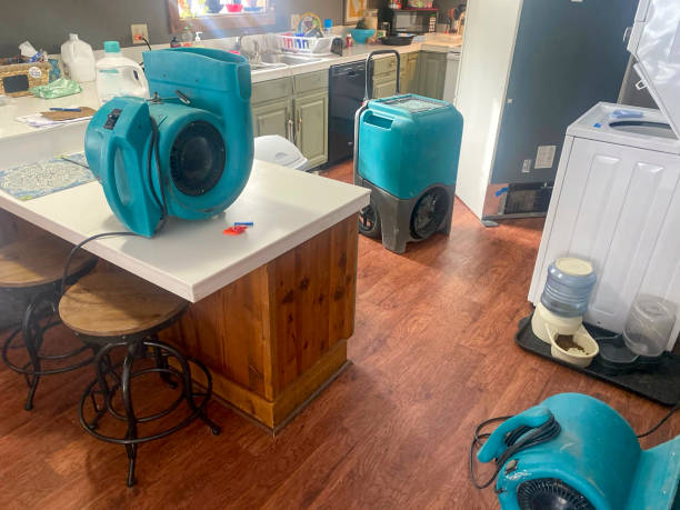 Best Water damage restoration process  in Belding, MI