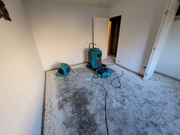 Best Flood restoration services  in Belding, MI