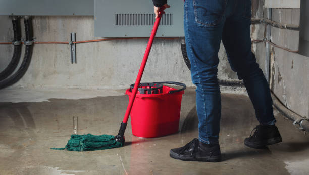 Best Water damage restoration near me  in Belding, MI