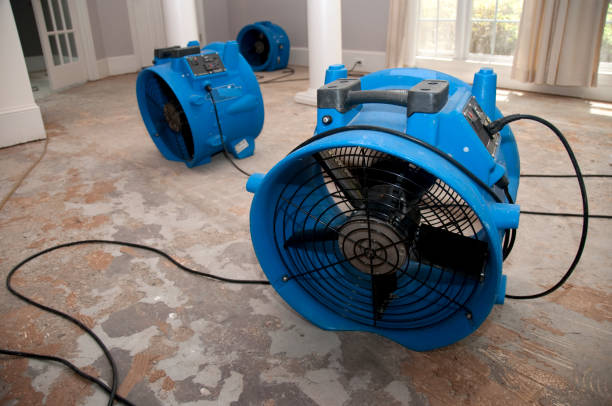 Best Residential water damage restoration  in Belding, MI
