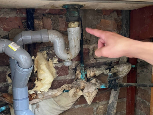 Best Fire Damage Restoration  in Belding, MI