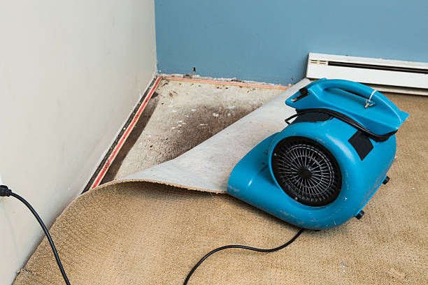Best Residential water damage restoration  in Belding, MI